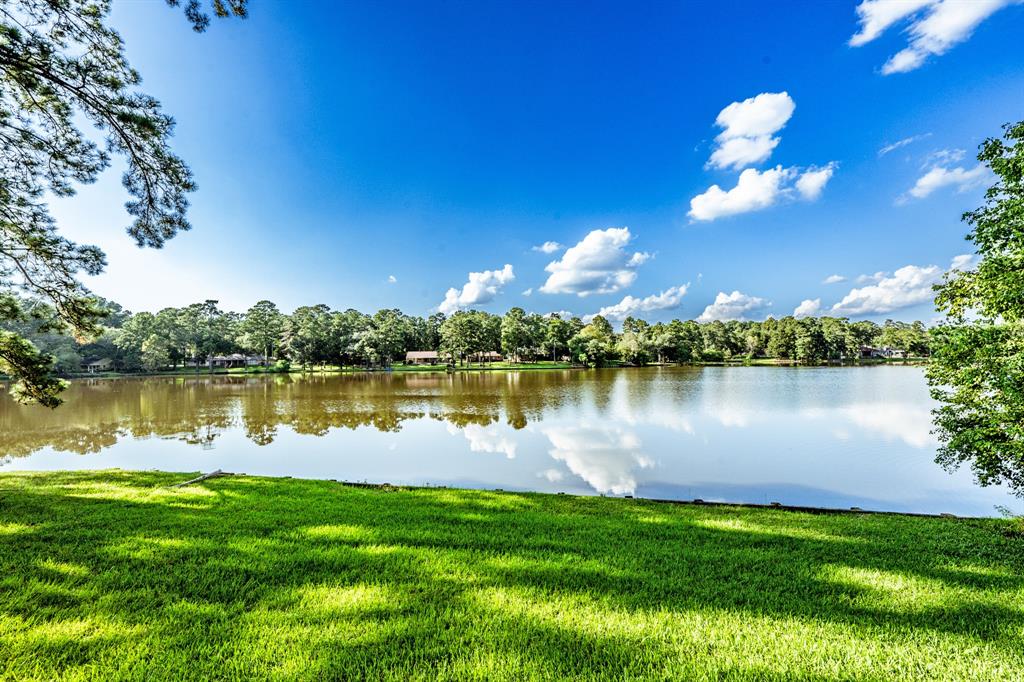 View of Lake from Back Yard