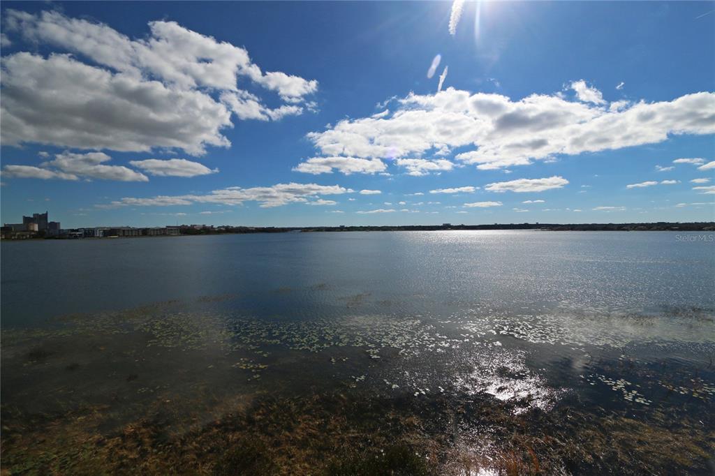 a view of a lake from a yard