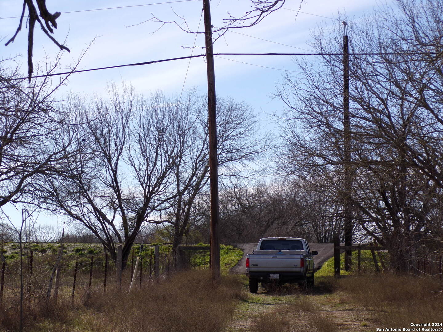 a view of a back yard of the house