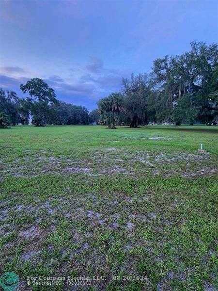 a view of field with trees in the background