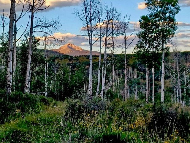 $399,000 | Tbd County Road M44 | Species Mesa