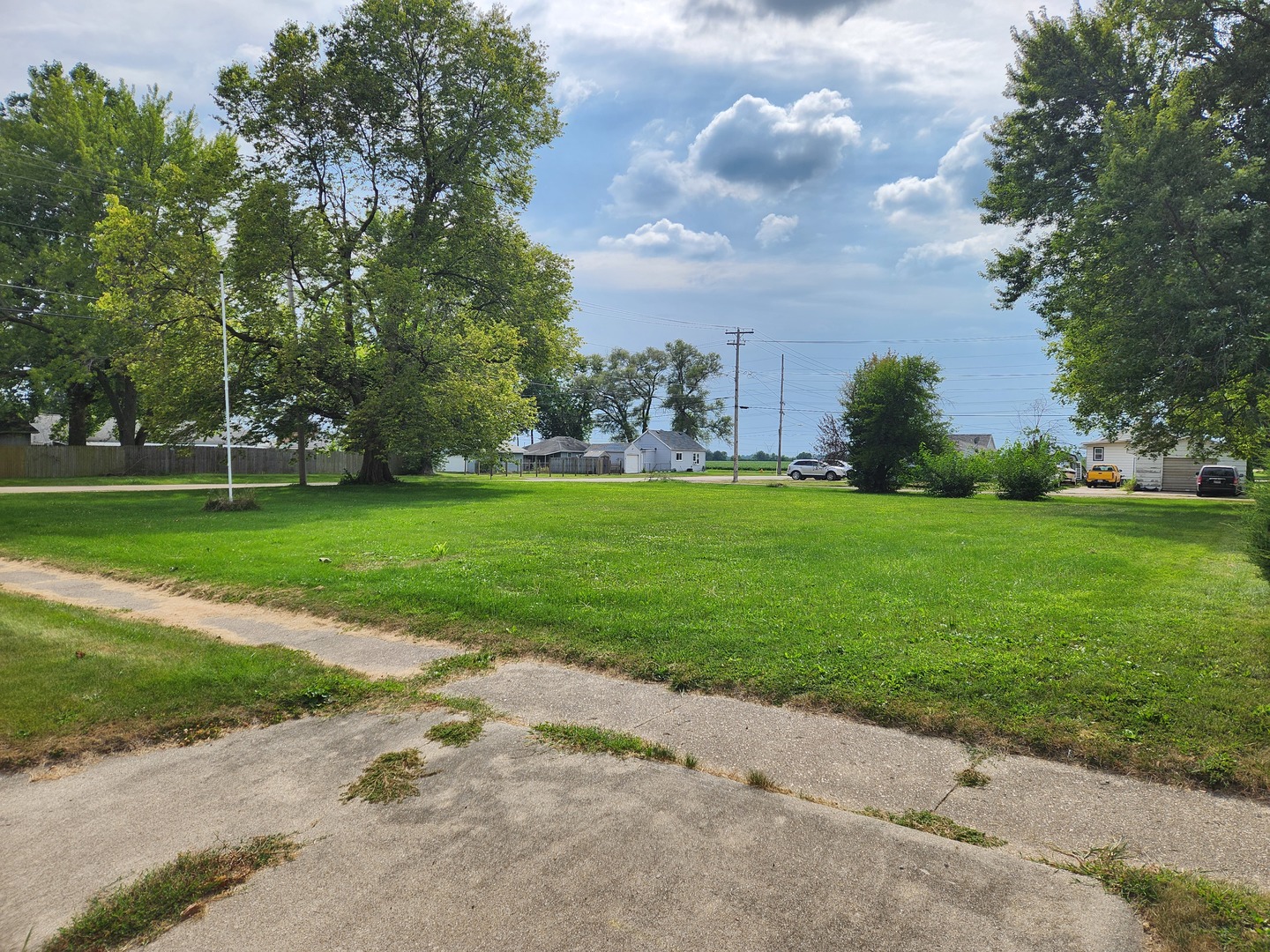 a view of a park with large trees