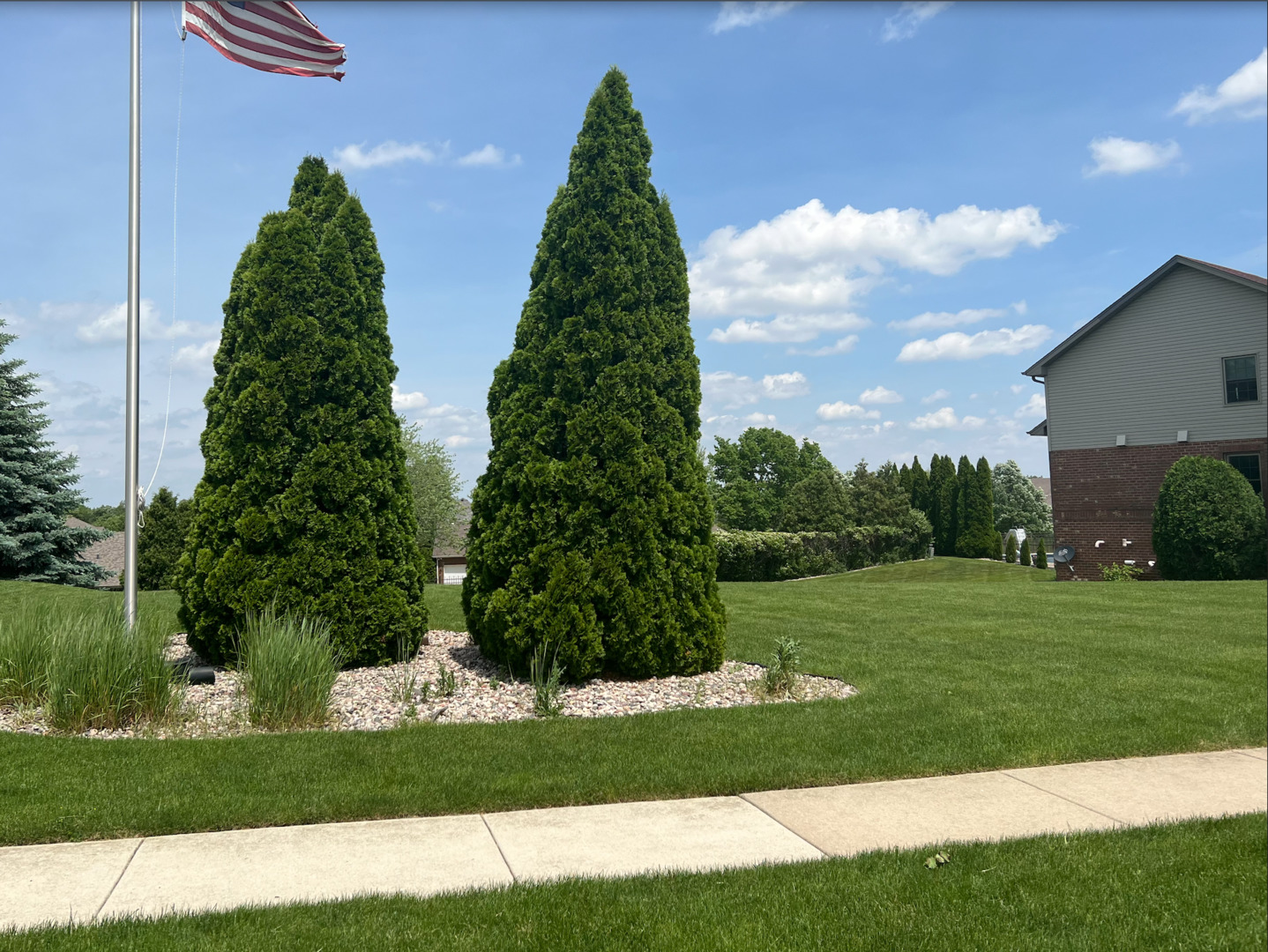 a yard with lots of green space