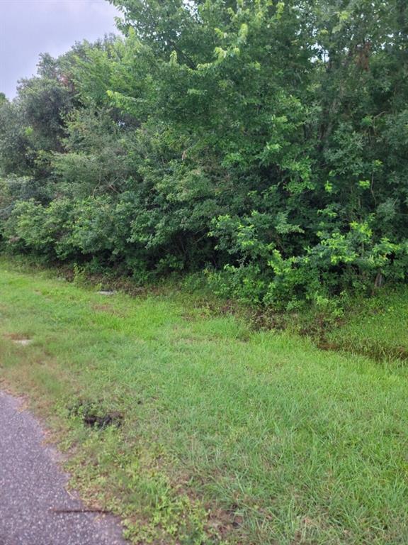 a view of a lush green space