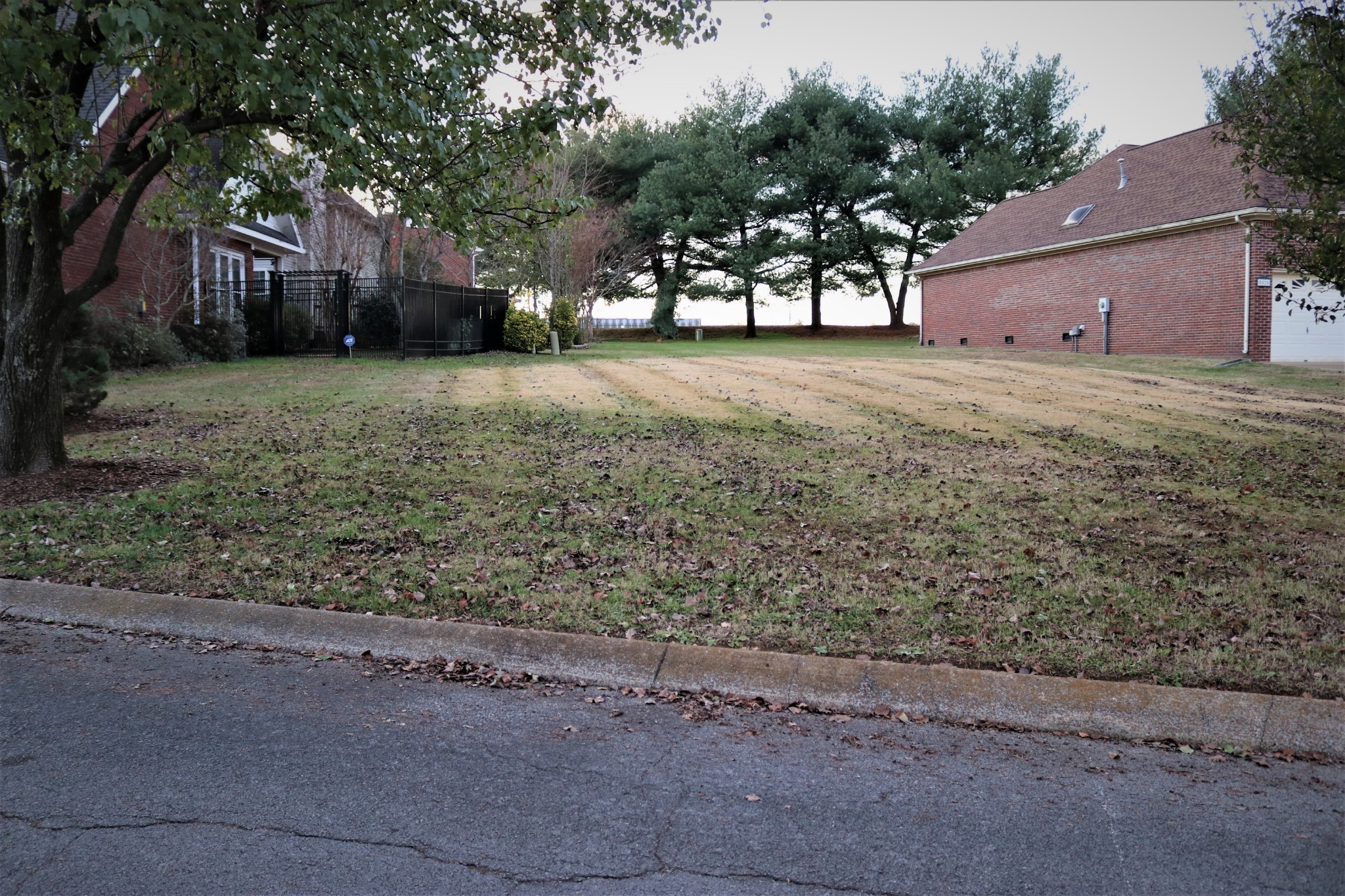 a view of a tree in front of a house