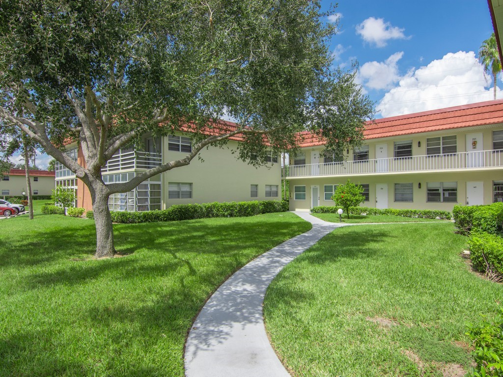 a view of a big yard with plants and large trees