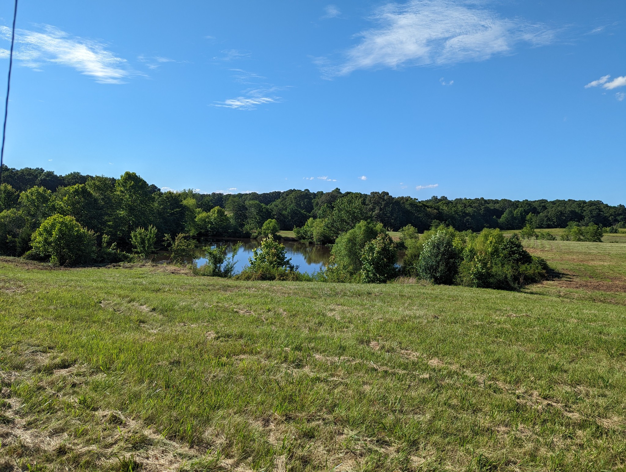 a view of a field with a tree in the background