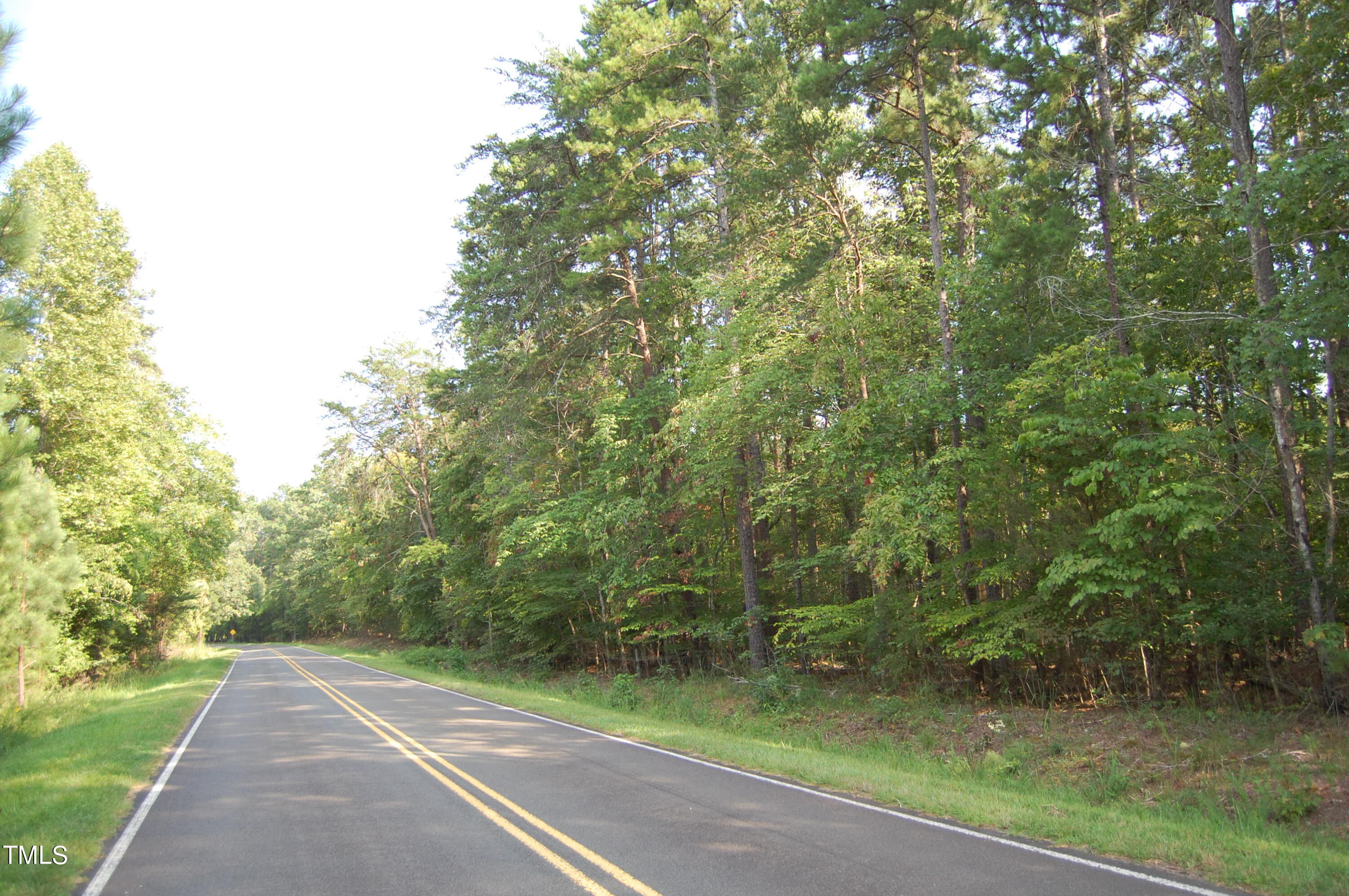 a view of a yard with plants and large trees