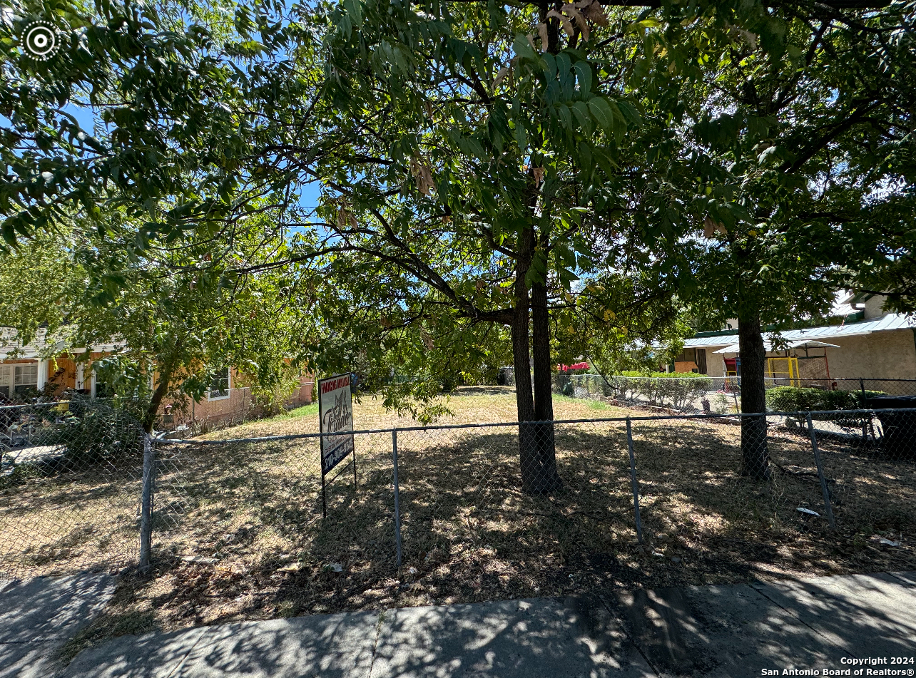 a view of a yard with plants and trees