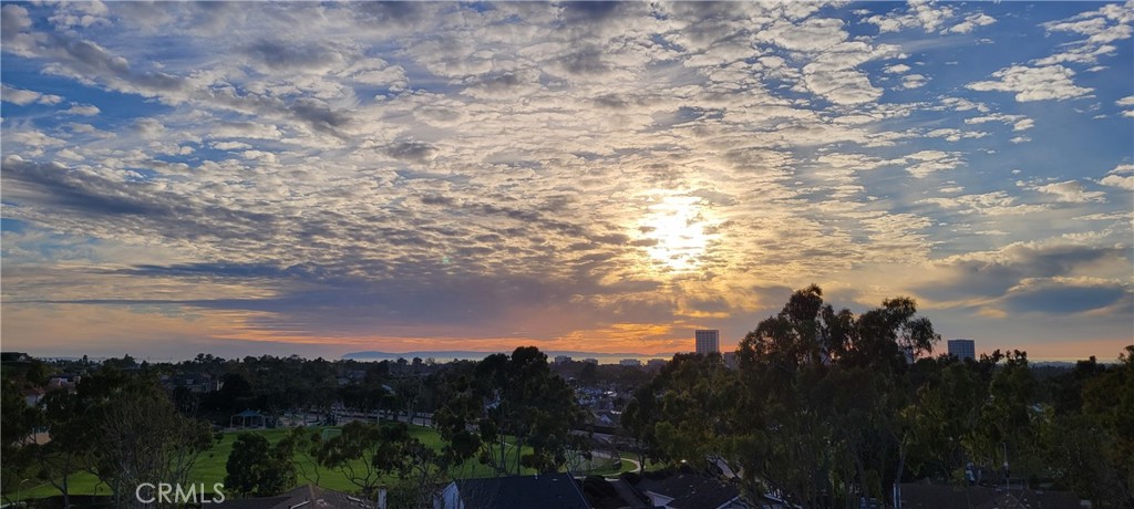 Breathtaking panoramic sunset view showing the Catalina Island, ocean, greens and city lights.