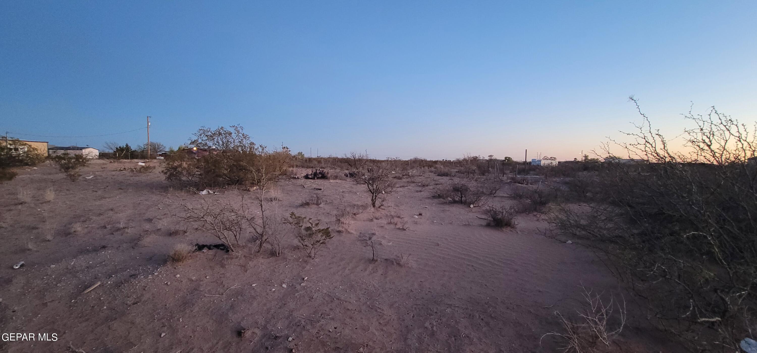 a view of dirt field with trees