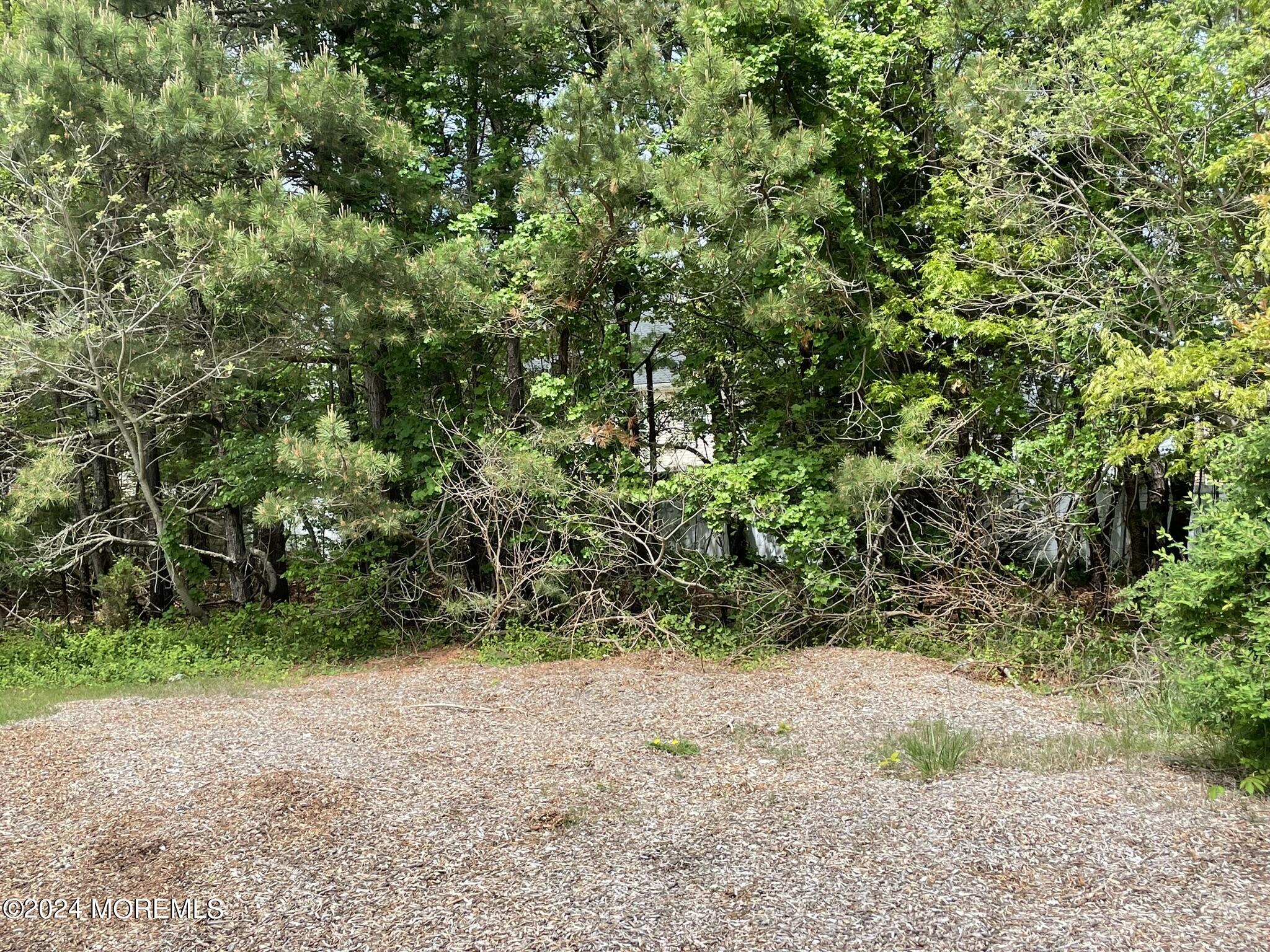 a view of a yard with plants and trees