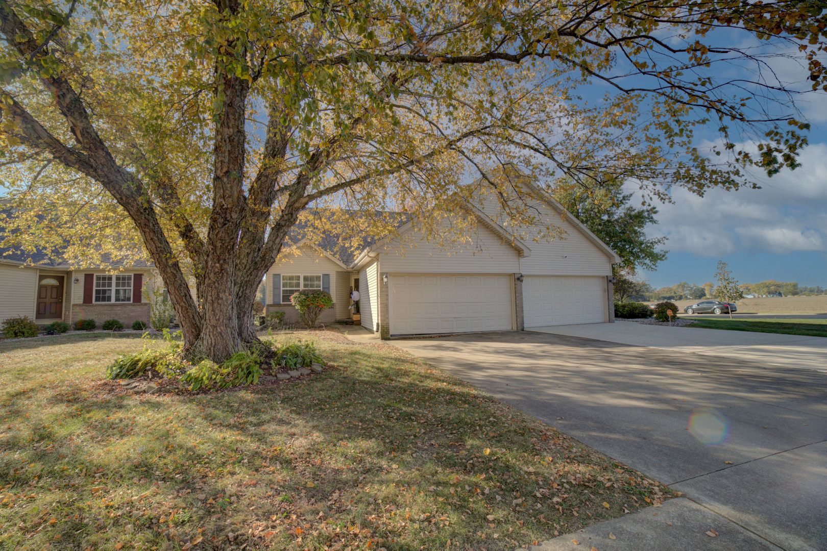 a view of a yard with large tree