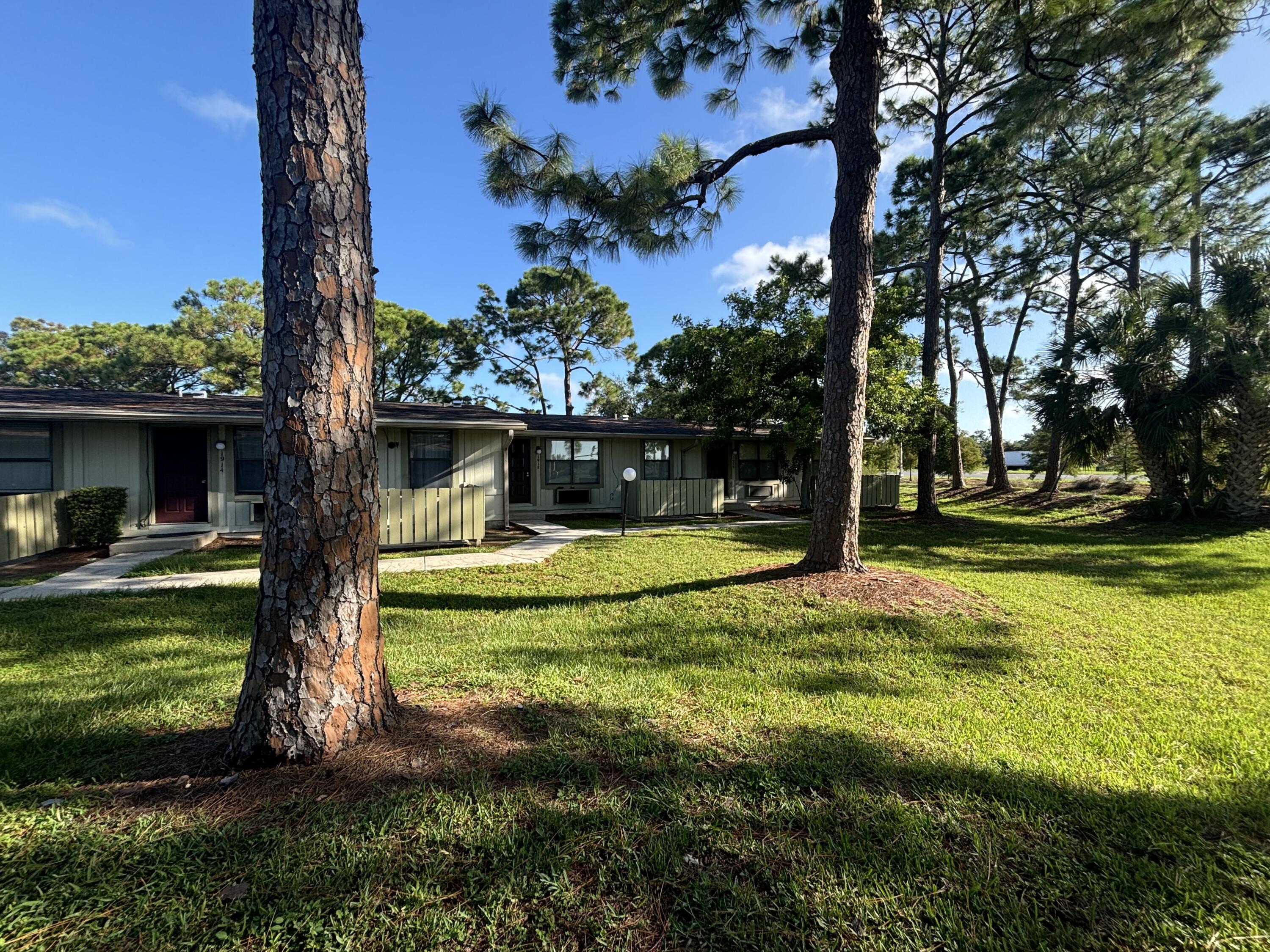 a view of a trees in front of a house