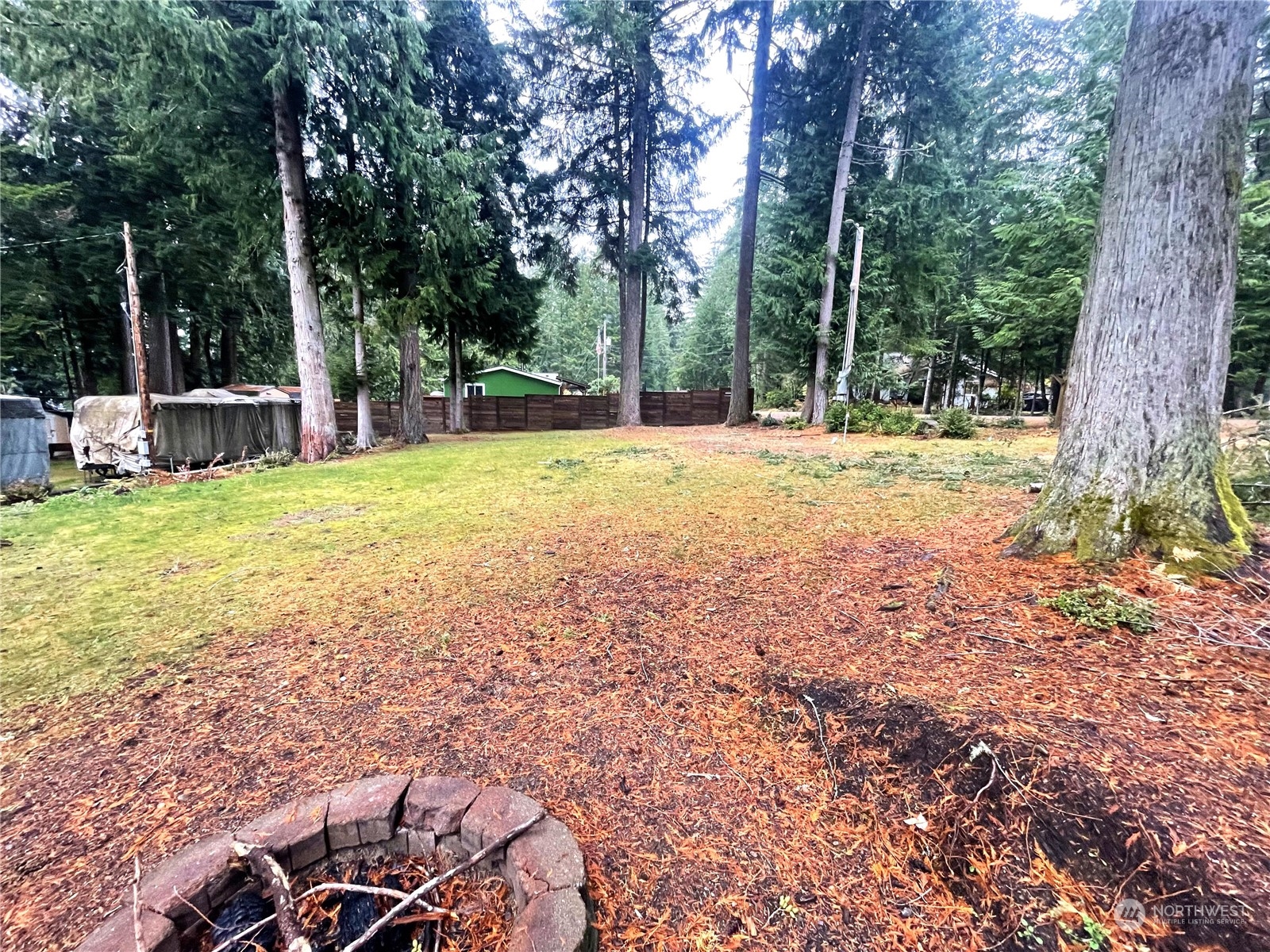 a view of a backyard with large trees