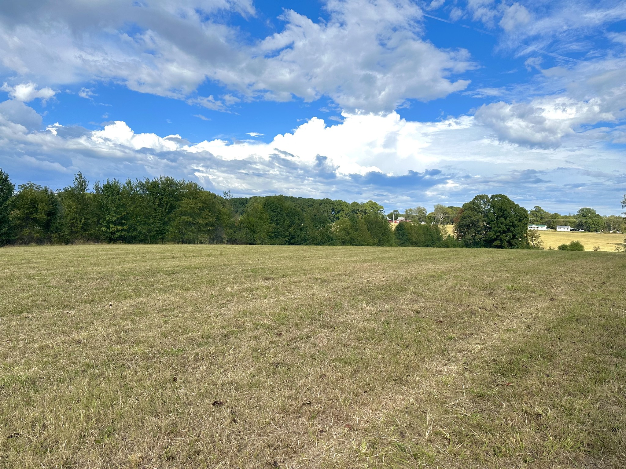 a view of a lake with a yard