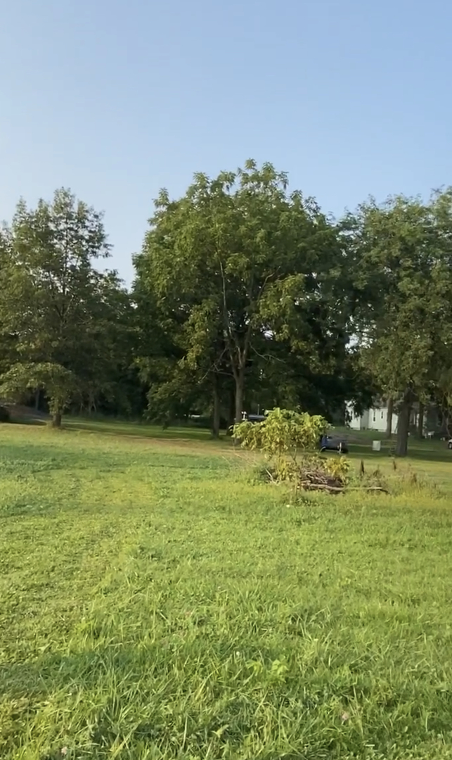 a backyard of a house with lots of green space