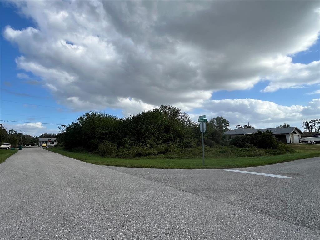 a view of a road with big trees