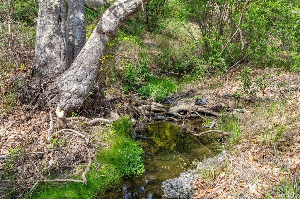 Year-round water