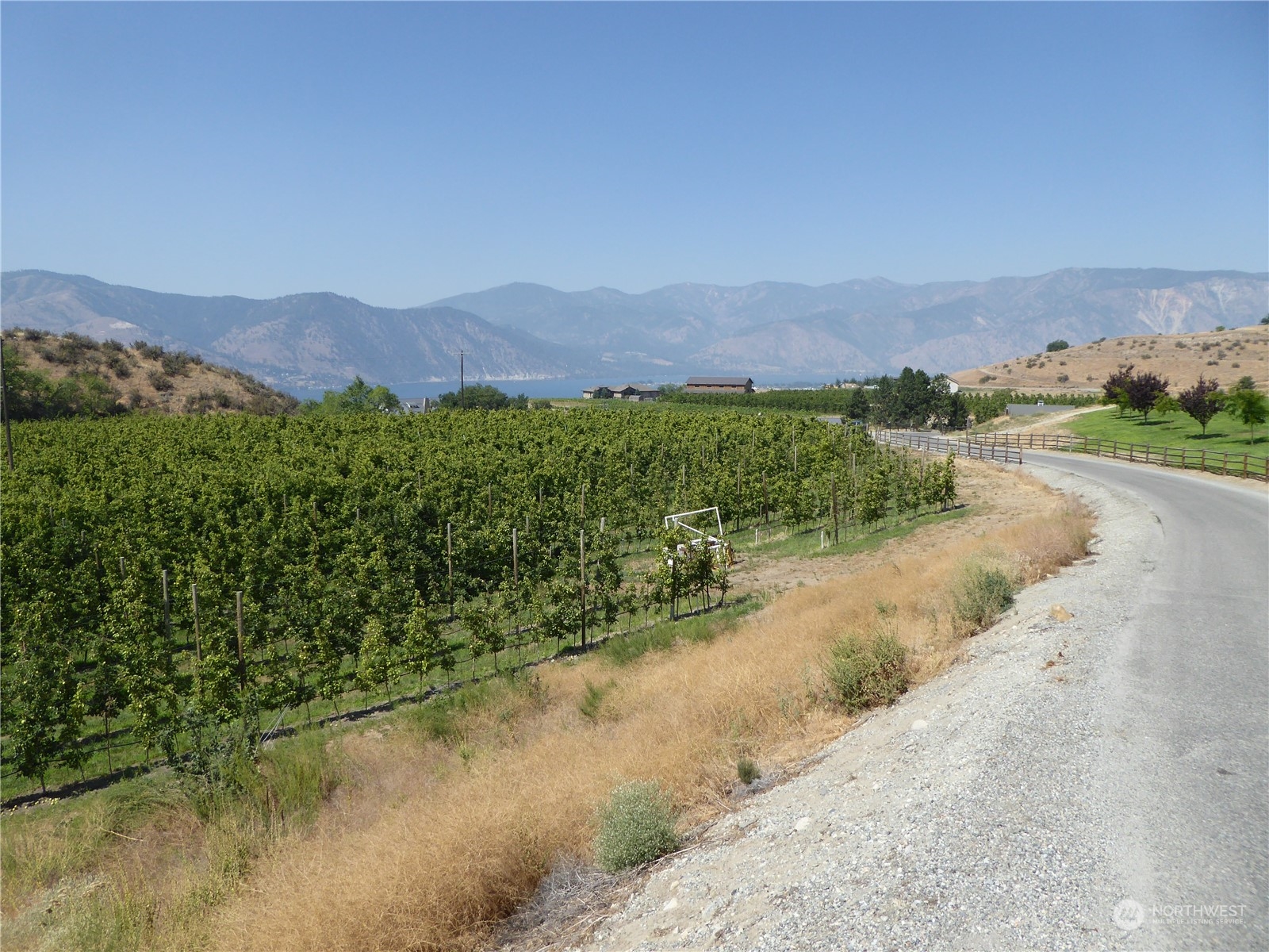 a view of a lush green field with mountains in the background