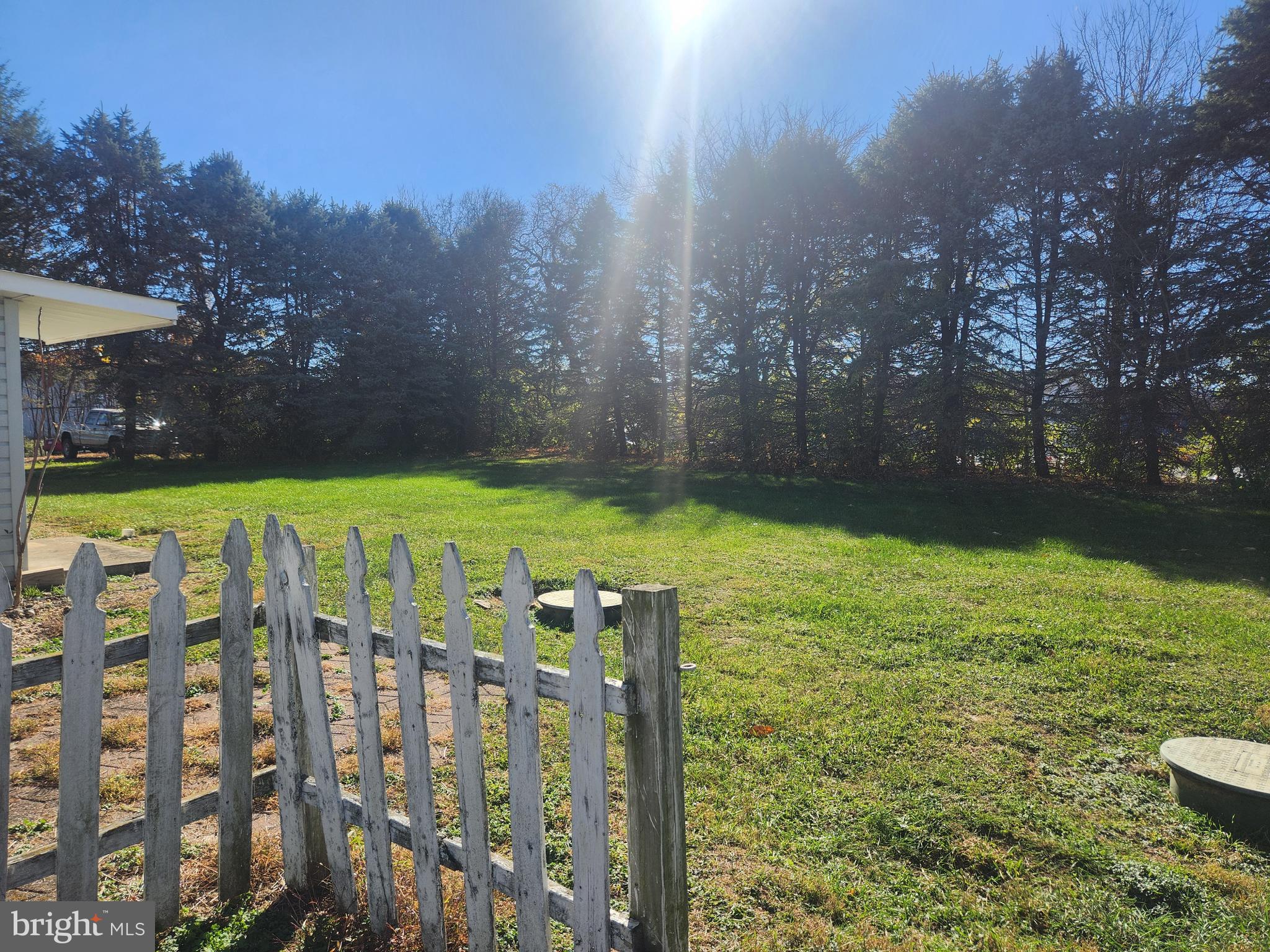 a view of a backyard