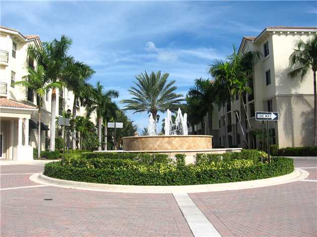 a view of potted plants with palm trees