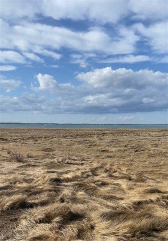 a view of beach and ocean