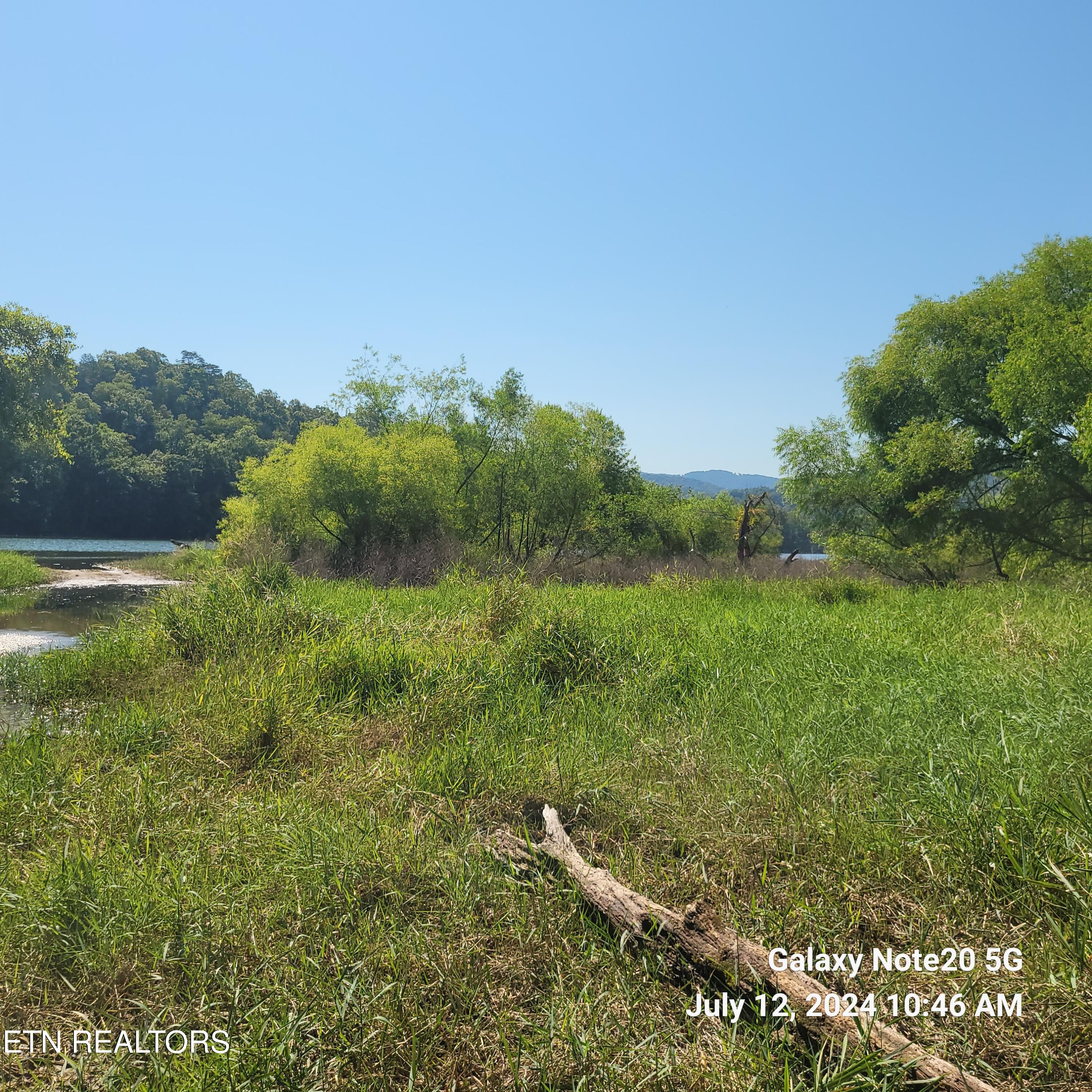 Clinch river