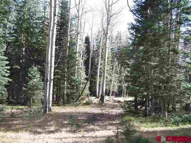 a view of a forest with trees