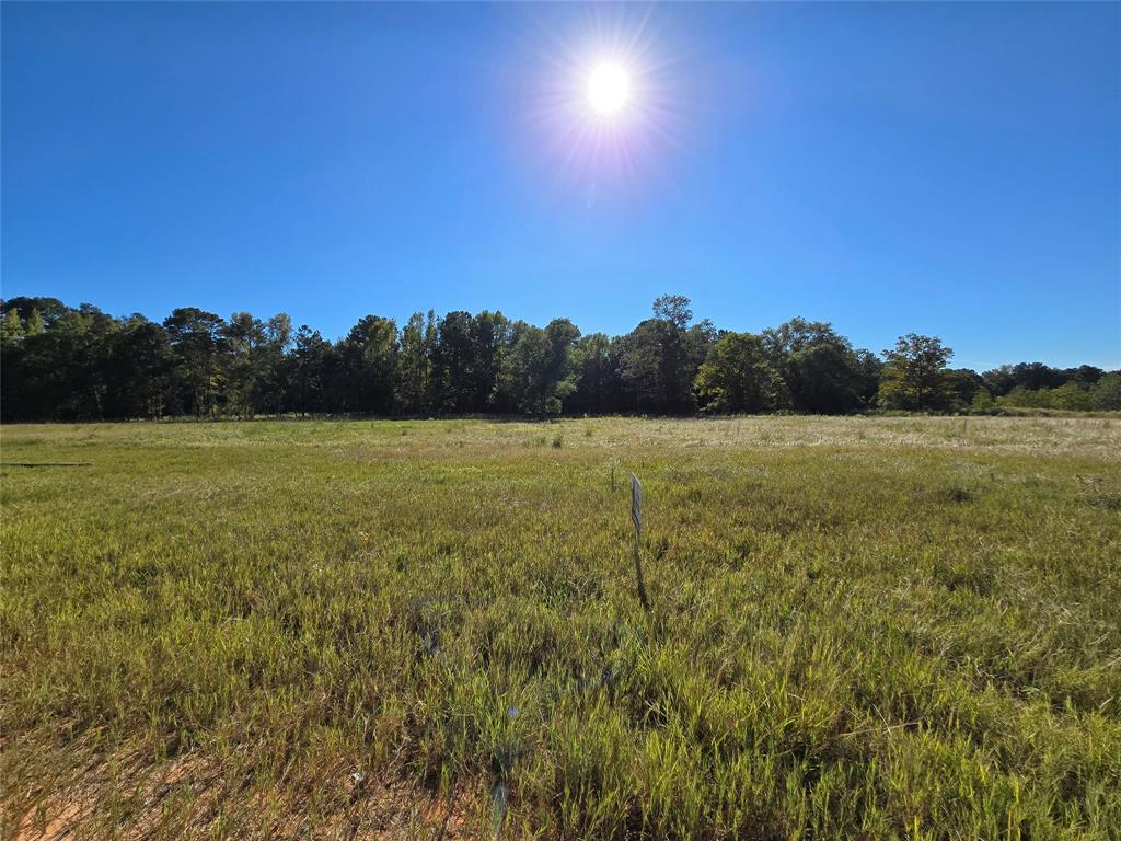 a view of a field with an ocean