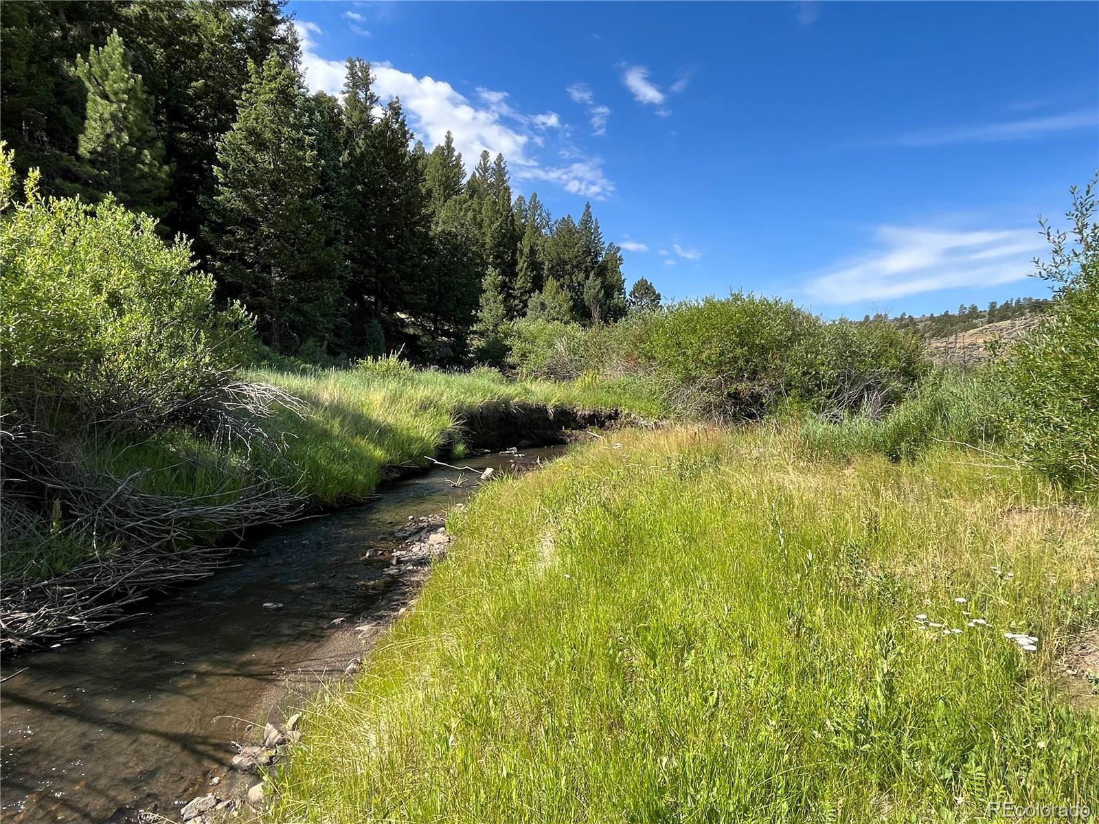 Lot 143 Forbes Wagon Creek Ranch, Fort Garland, CO 81133 | Compass