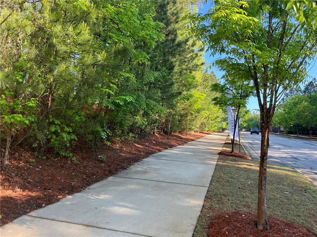 a view of a yard with plants and trees