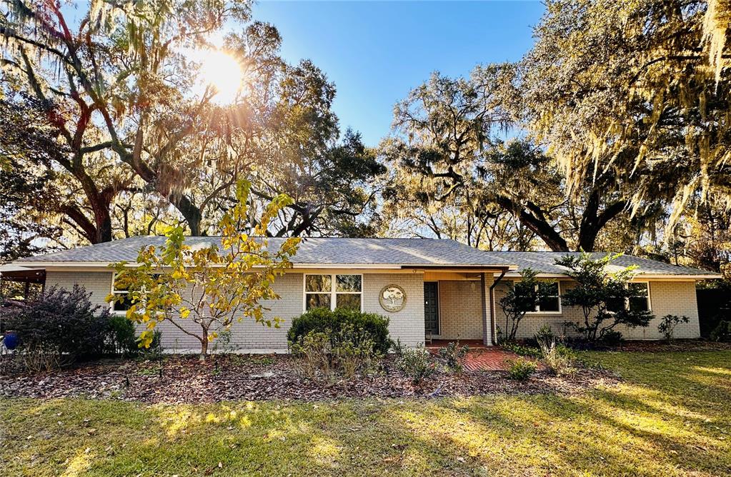 a front view of a house with a yard tree and a yard