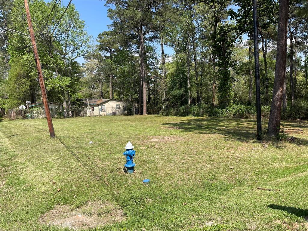 a view of a tree in a yard