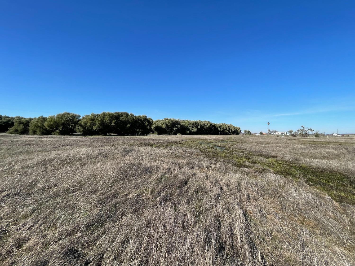 a view of a field with trees in background