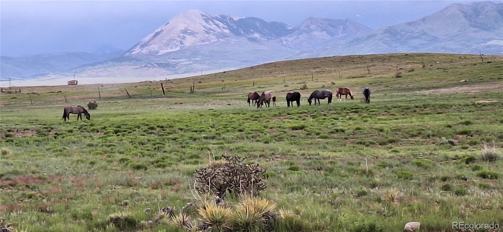 a view of a field with an outdoor space