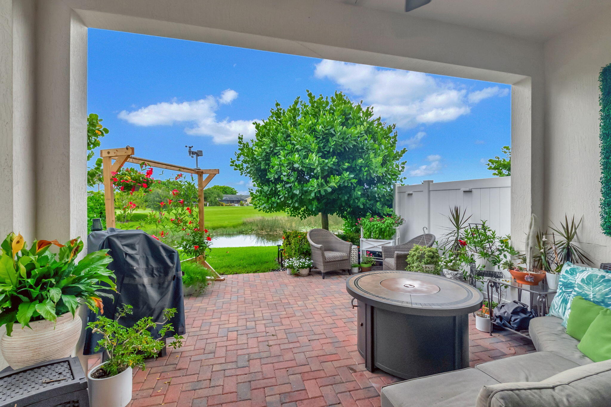 a view of a backyard with plants and a garden