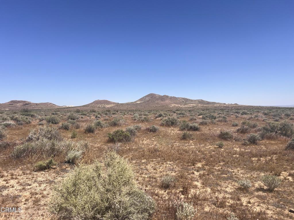 a view of a mountain range with trees in the background