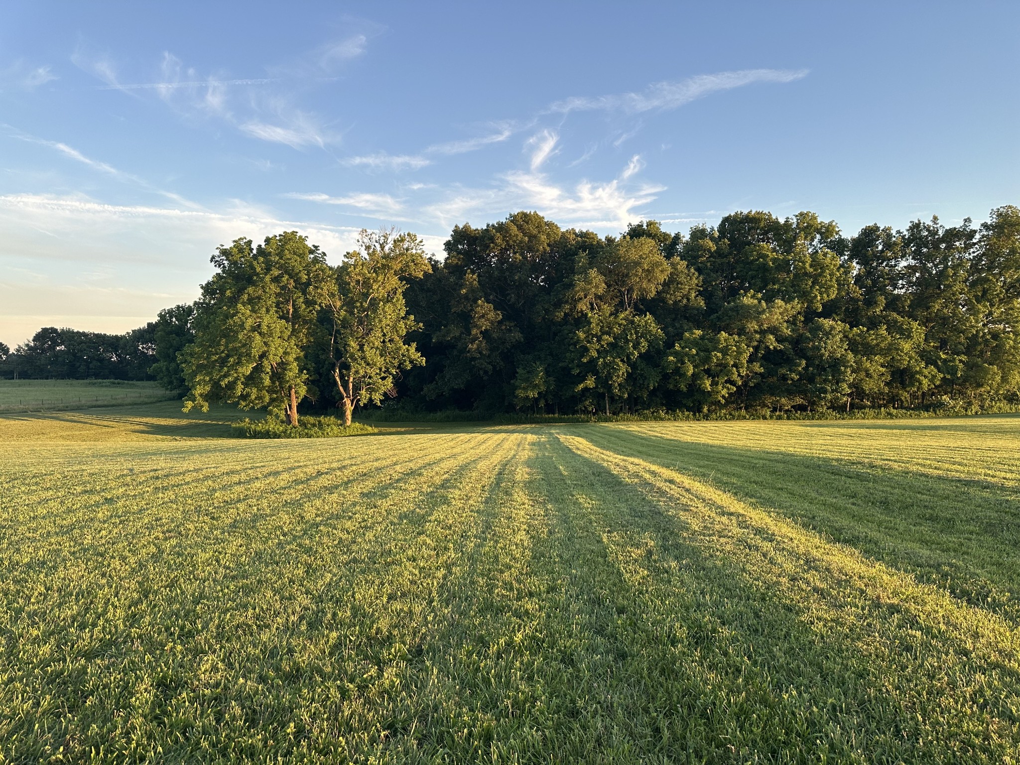 a view of an outdoor space and a yard