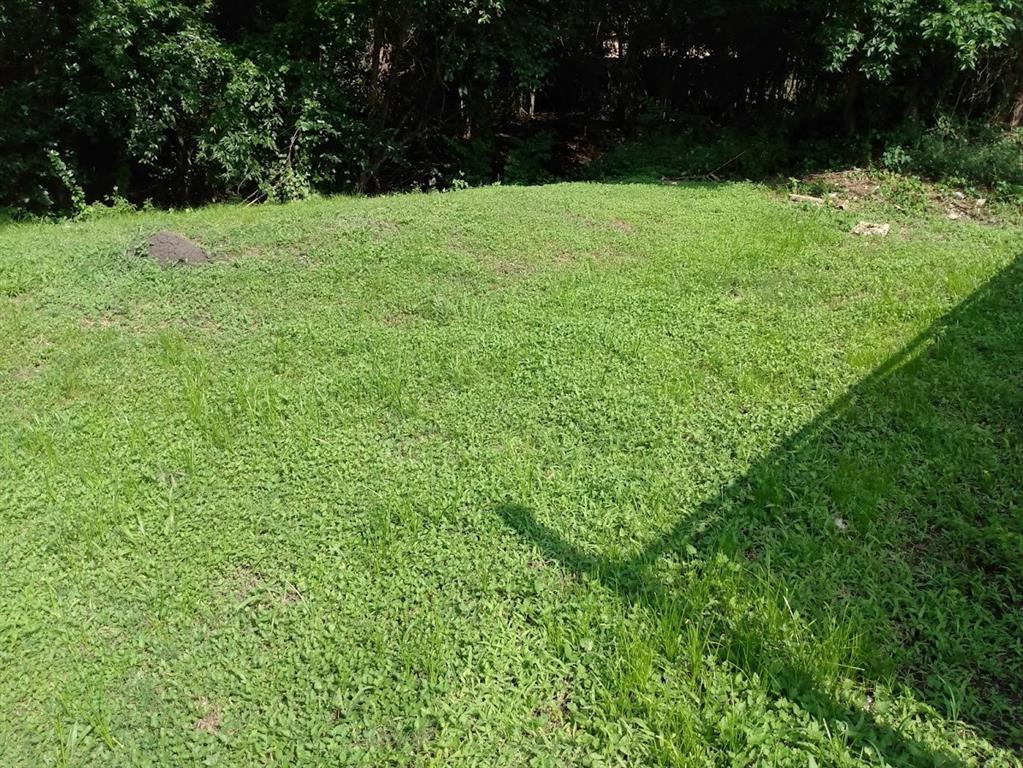 a view of white wall with a yard