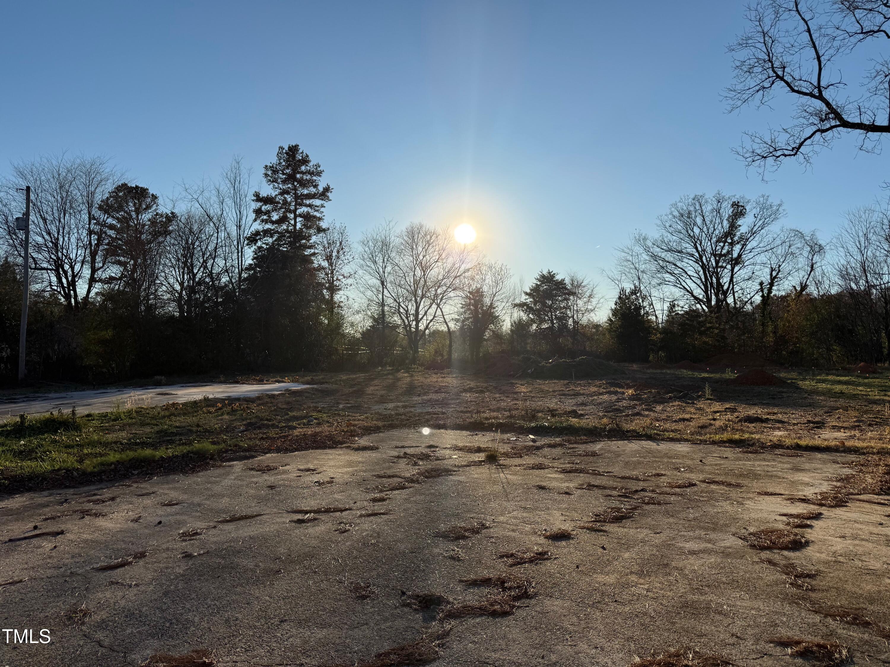 a view of dirt yard with a large tree