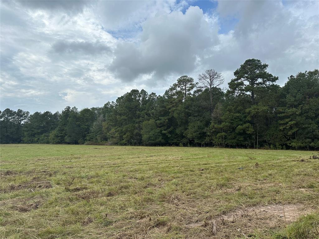 a view of a field with an trees in back