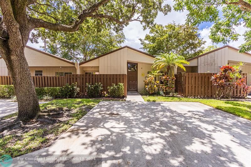 a small yard with a tree in front of it