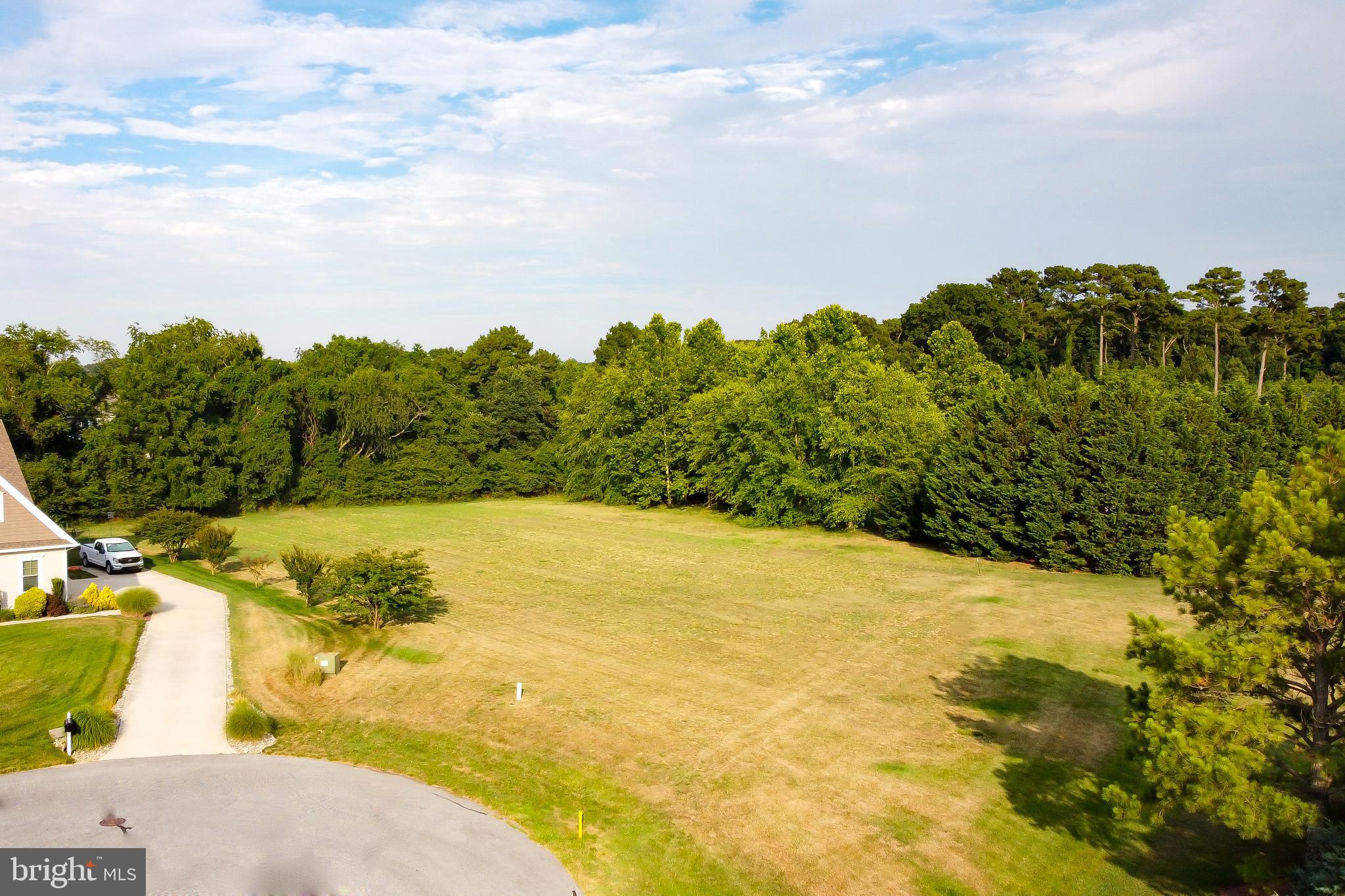 a view of a yard