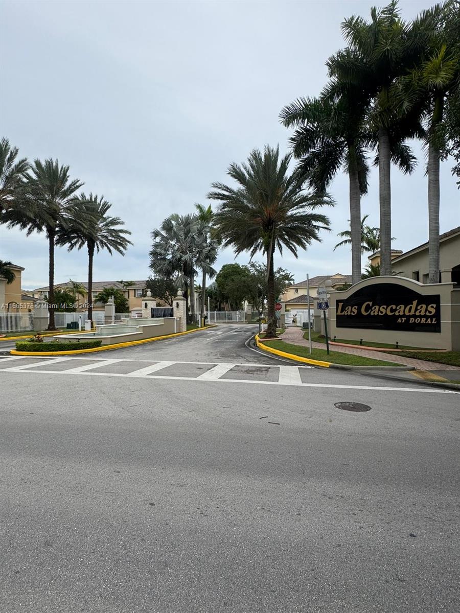 a view of street with palm trees