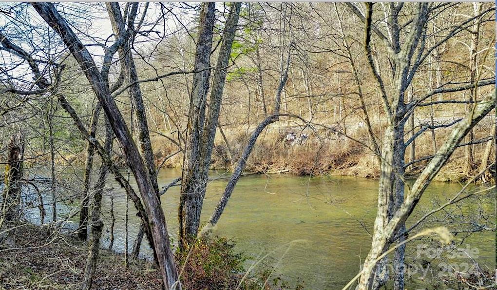 a view of lake with a tree