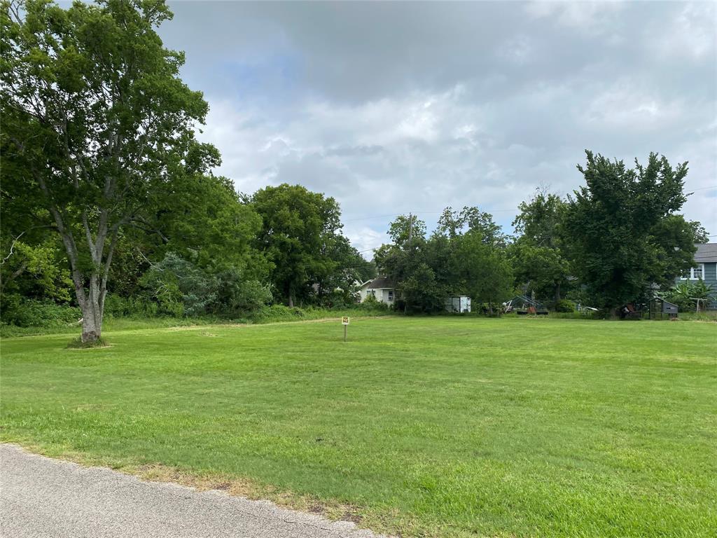 a view of a grassy field with trees