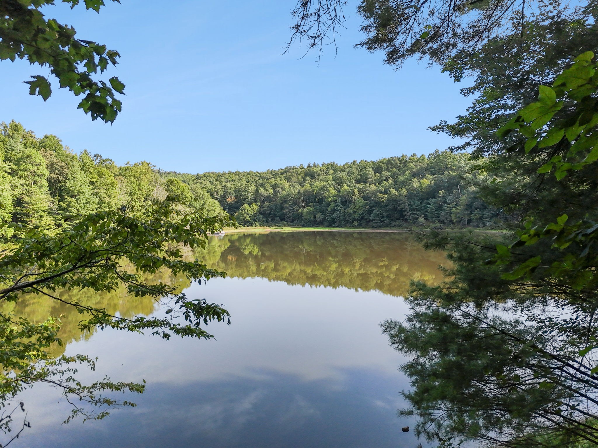 a view of a lake with a mountain in the background