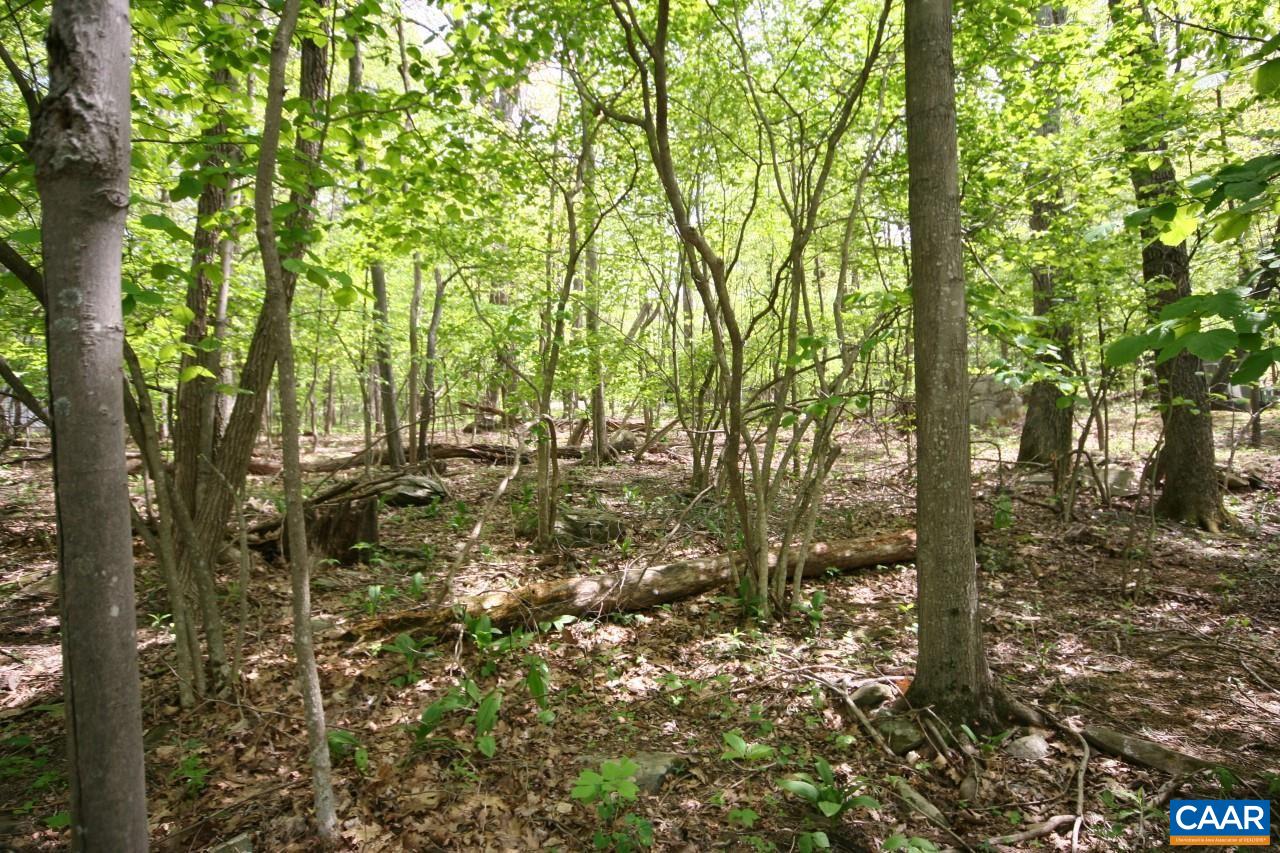 a view of outdoor space and trees