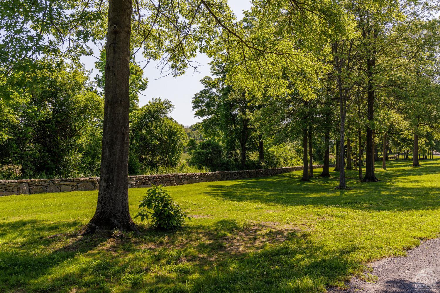 a view of a park with large trees